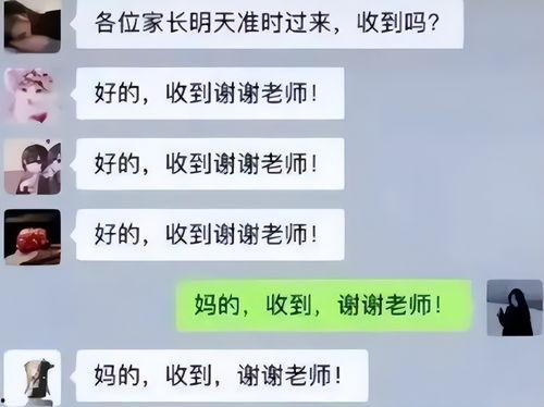 娱乐吃瓜酱家长文案,揭秘娱乐圈背后的温馨故事