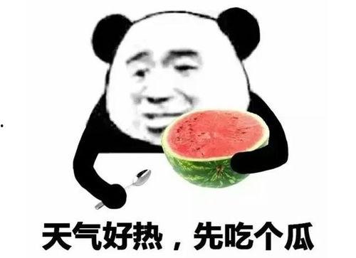 娱乐吃瓜表情图片可爱,可爱吃瓜表情图带你领略欢乐时光