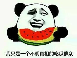 网络词吃瓜群众是什么意思,网络热词背后的社会现象