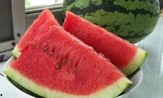 吃瓜大赛作文600字