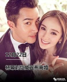 娱乐圈心声吃瓜小说,揭秘明星们的真实生活与心酸历程
