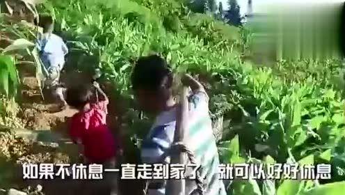 贵州娱乐吃瓜事件视频